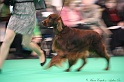 Crufts2011 589